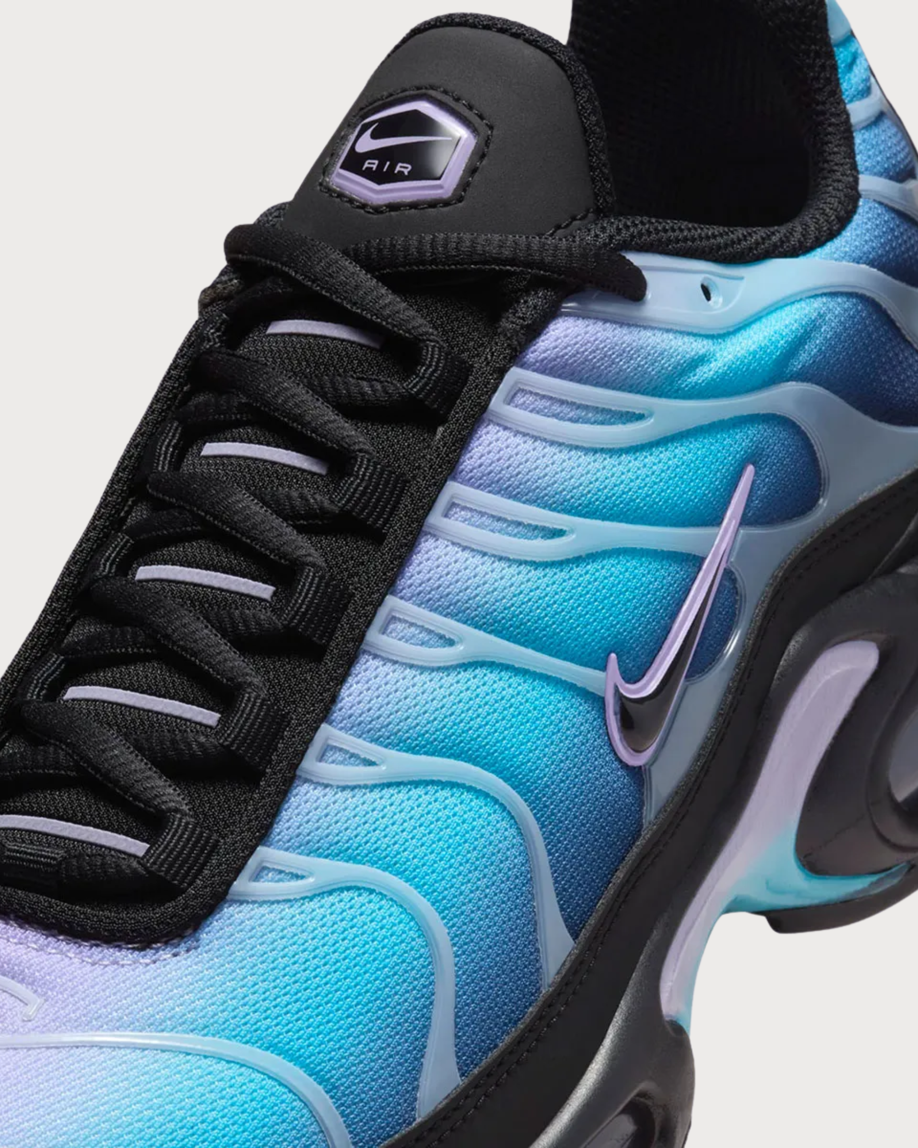 Nike Air Max Plus Black Hydrangeas (W)