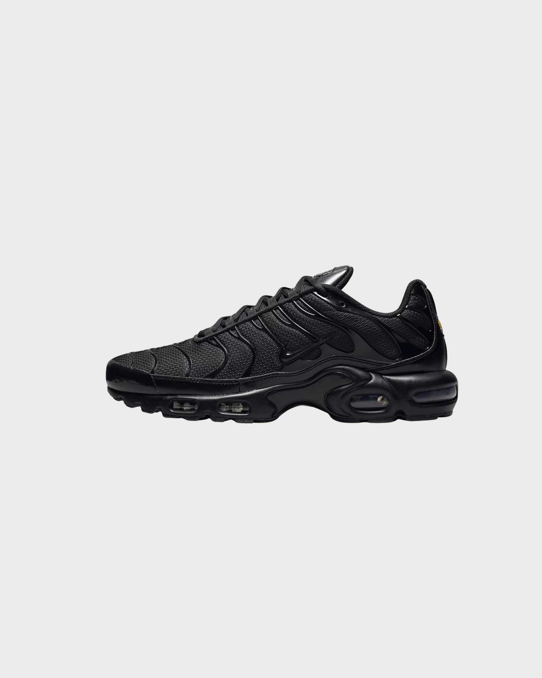 Nike Air Max Plus Triple Black Leather 