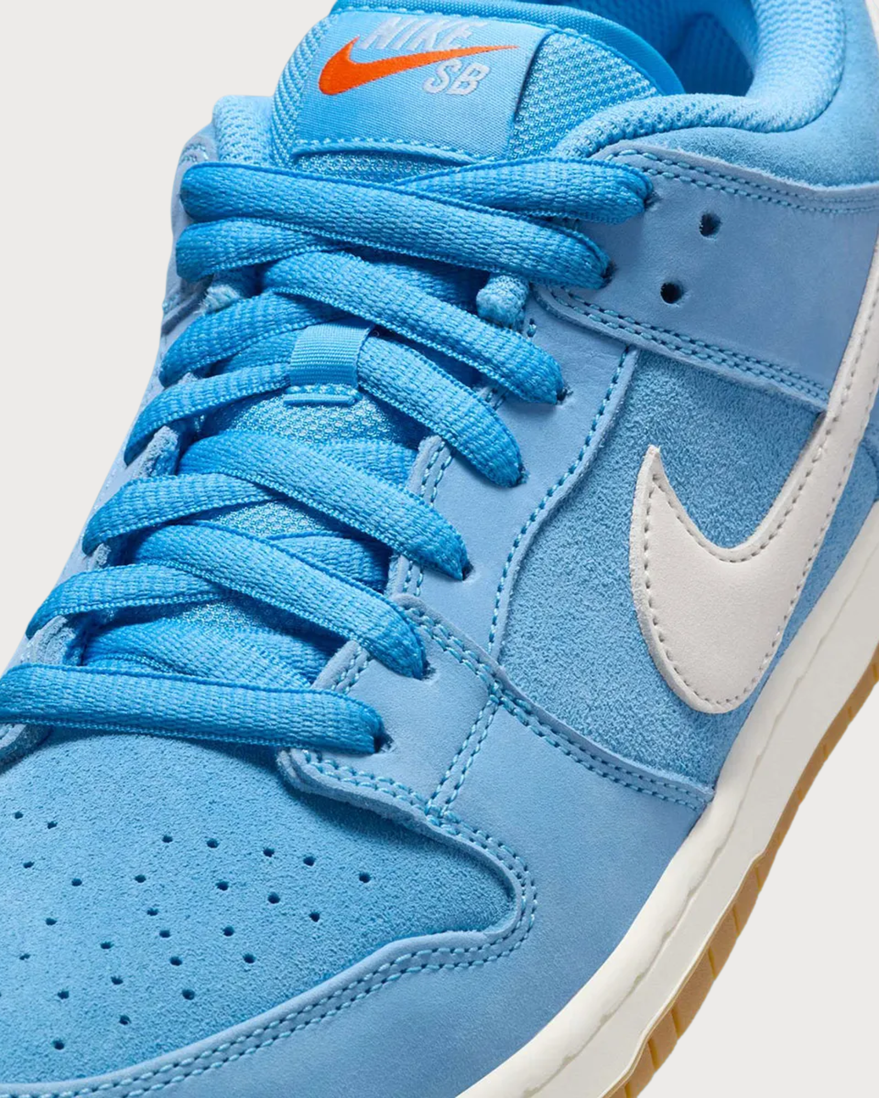 Nike SB Dunk Low Pro University Blue Gum 