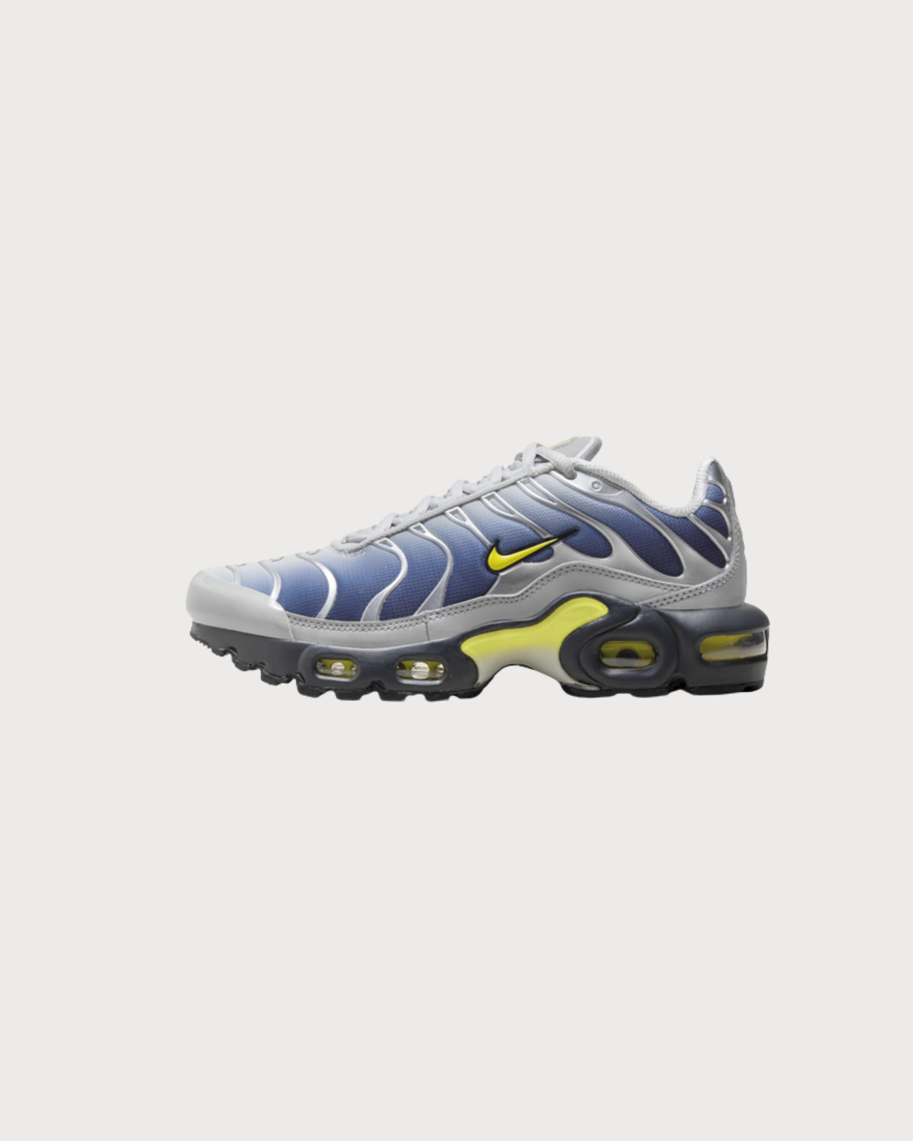 Nike Air Max Plus Obsidian Silver (GS) 