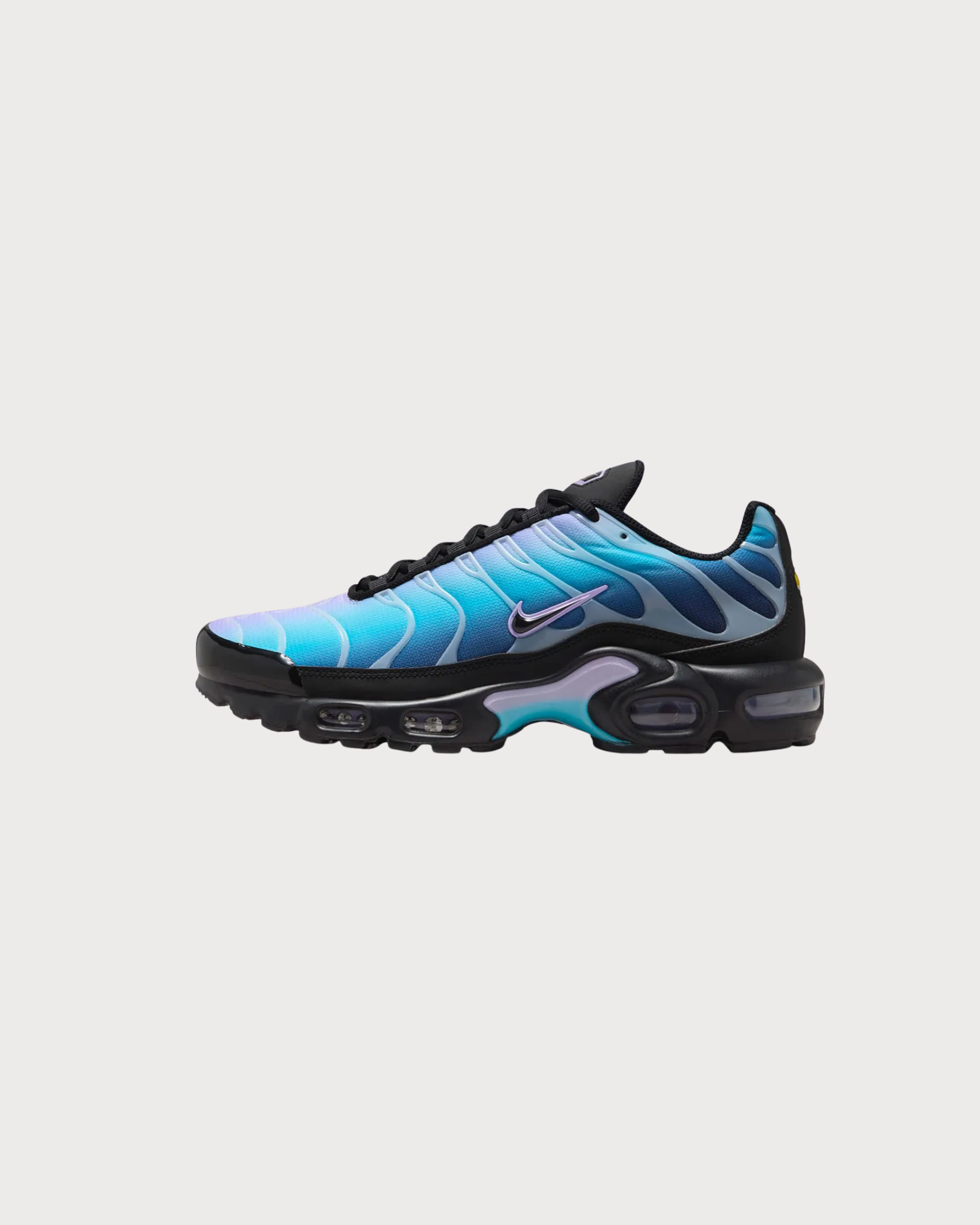 Nike Air Max Plus Black Hydrangeas (W) 